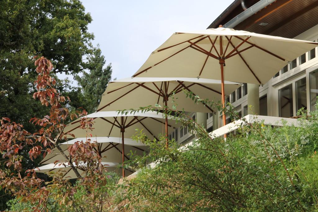 Hotel Rural Misarela Geres Εξωτερικό φωτογραφία